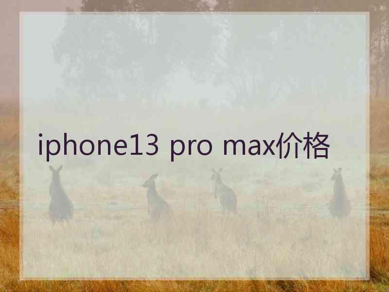 iphone13 pro max价格