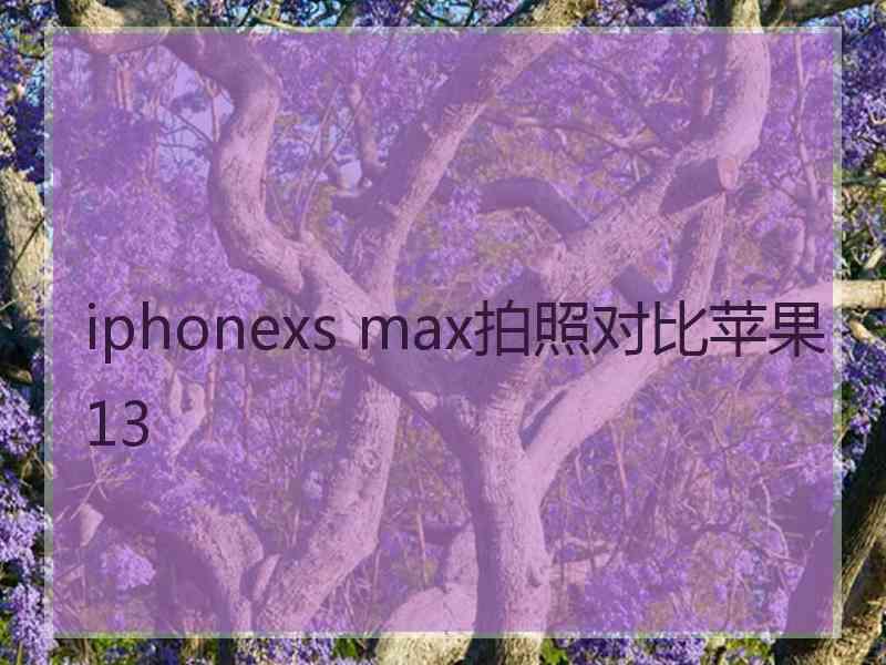 iphonexs max拍照对比苹果13