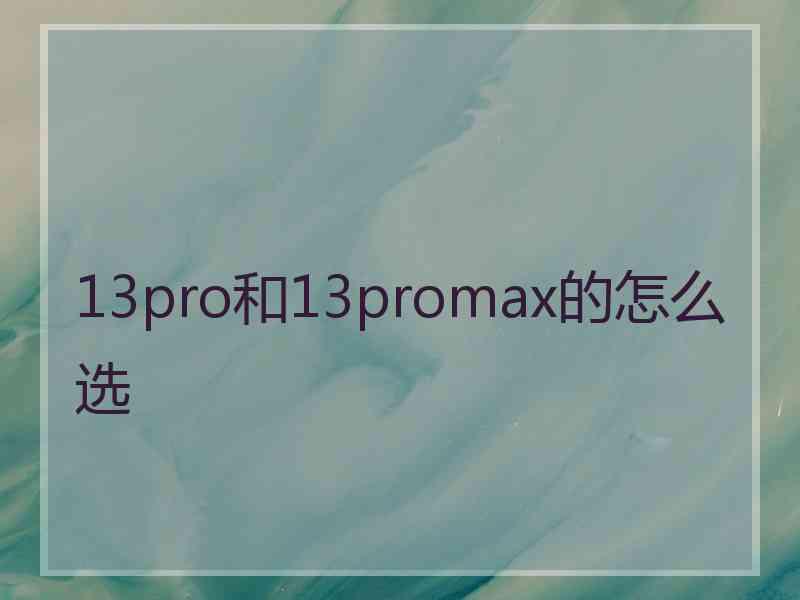 13pro和13promax的怎么选