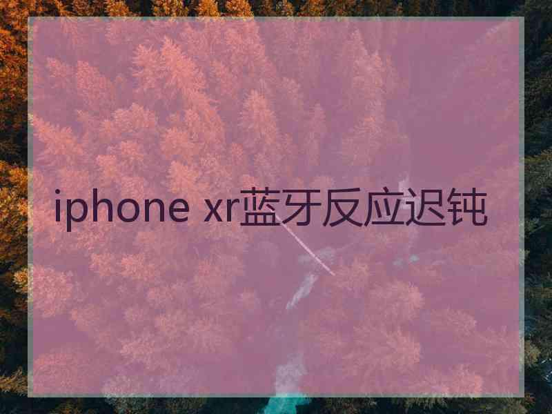 iphone xr蓝牙反应迟钝