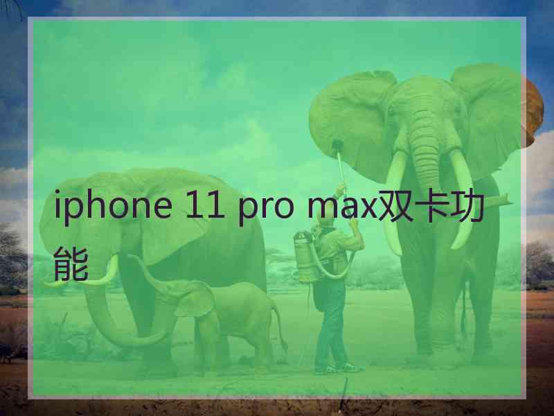 iphone 11 pro max双卡功能