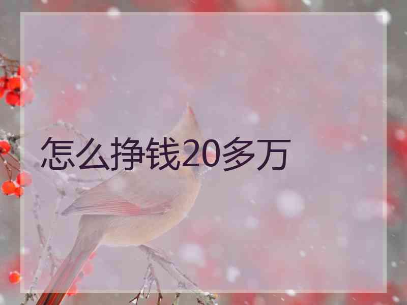 怎么挣钱20多万