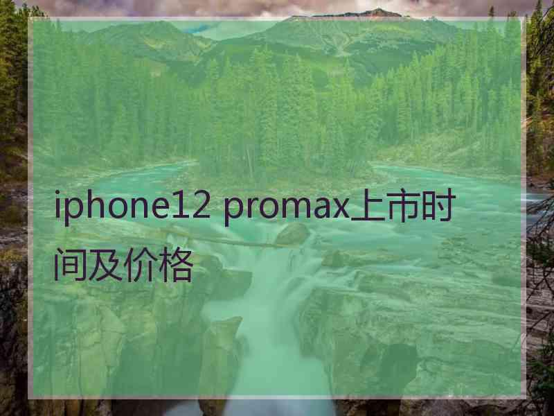 iphone12 promax上市时间及价格