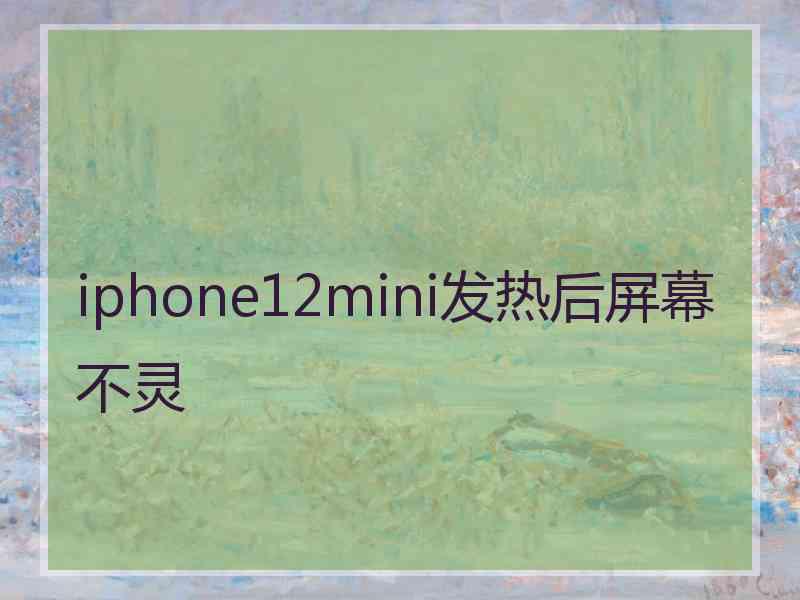 iphone12mini发热后屏幕不灵