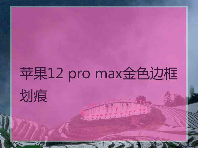 苹果12 pro max金色边框划痕