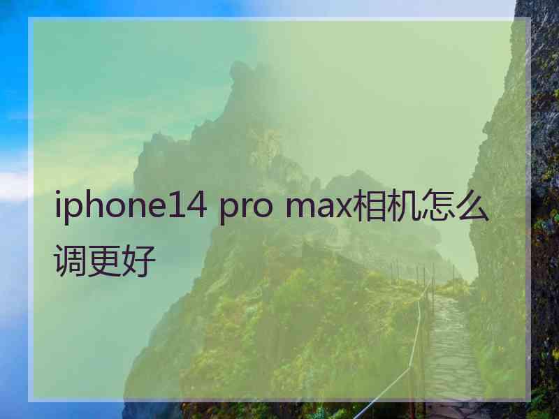 iphone14 pro max相机怎么调更好