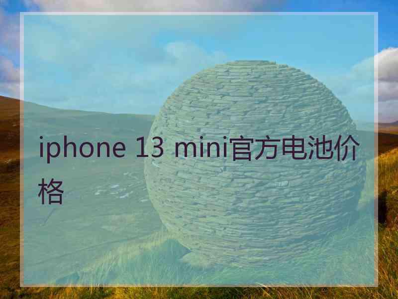 iphone 13 mini官方电池价格