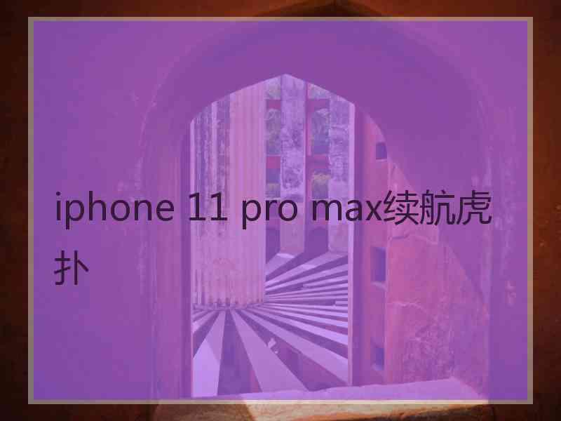 iphone 11 pro max续航虎扑