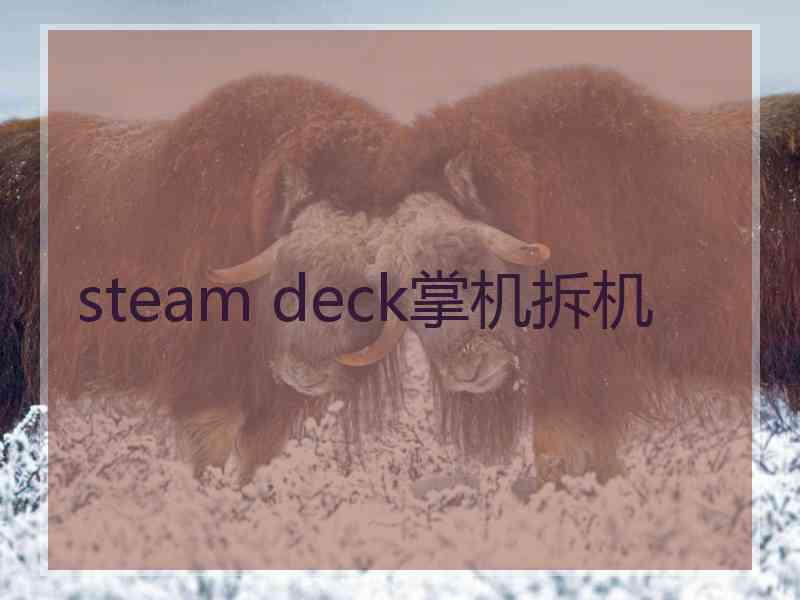 steam deck掌机拆机