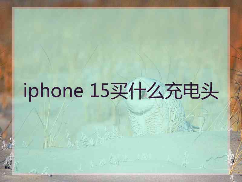 iphone 15买什么充电头