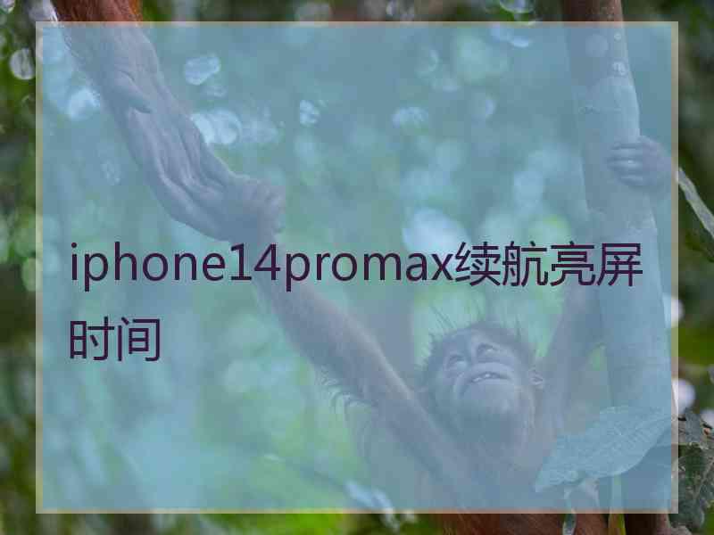 iphone14promax续航亮屏时间