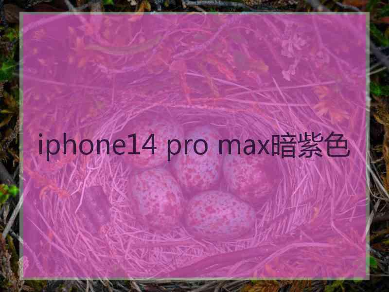 iphone14 pro max暗紫色