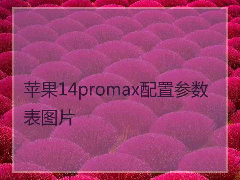 苹果14promax配置参数表图片