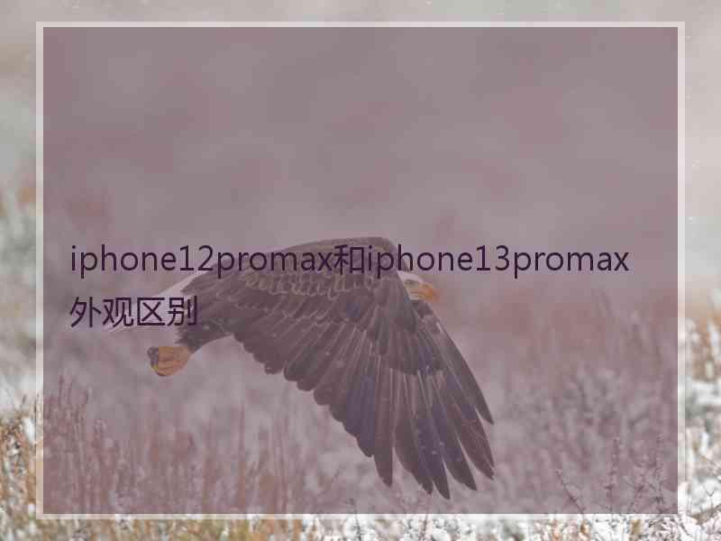 iphone12promax和iphone13promax外观区别