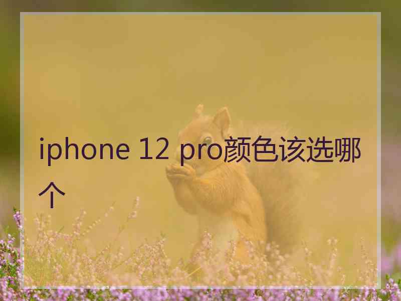 iphone 12 pro颜色该选哪个