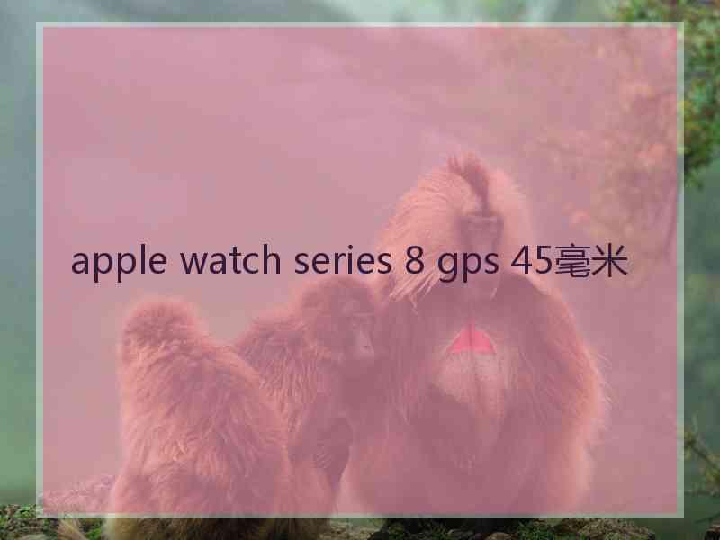 apple watch series 8 gps 45毫米