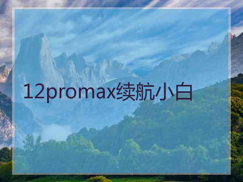 12promax续航小白