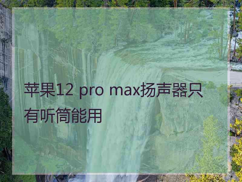 苹果12 pro max扬声器只有听筒能用