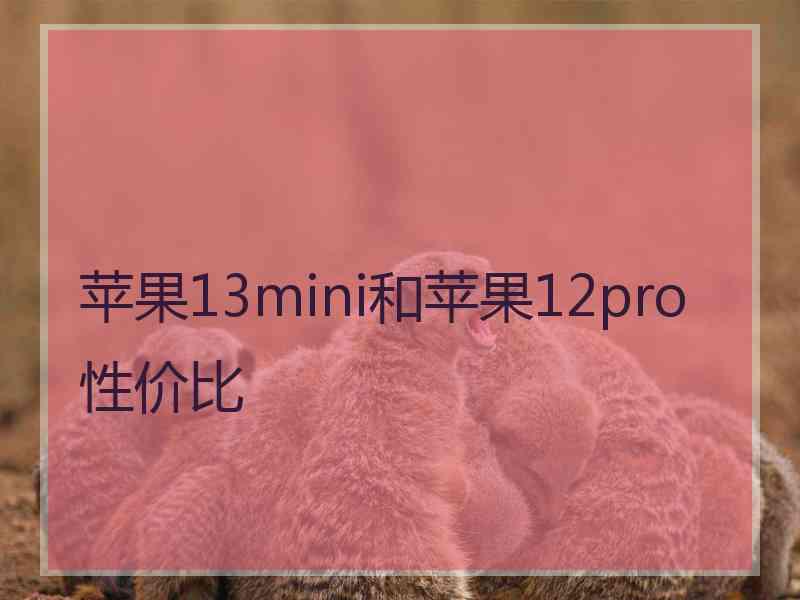 苹果13mini和苹果12pro性价比