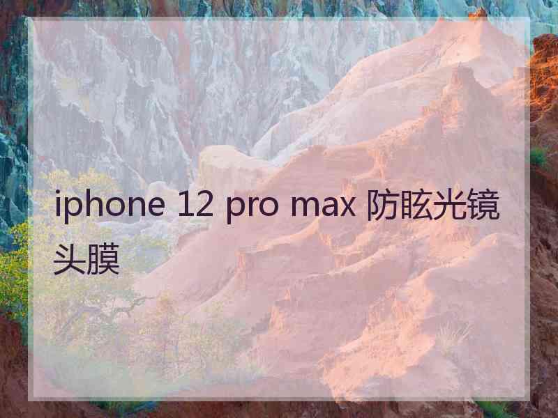 iphone 12 pro max 防眩光镜头膜