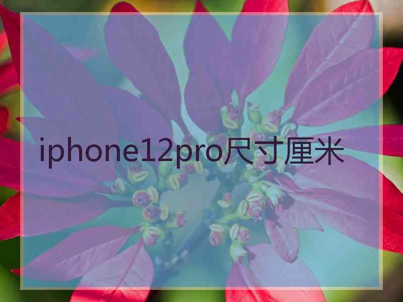 iphone12pro尺寸厘米