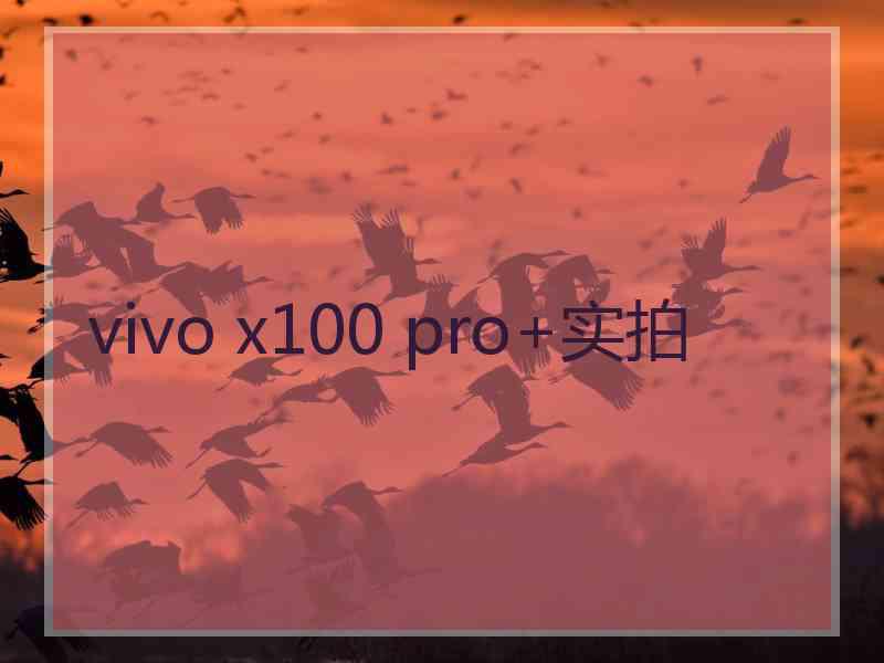 vivo x100 pro+实拍