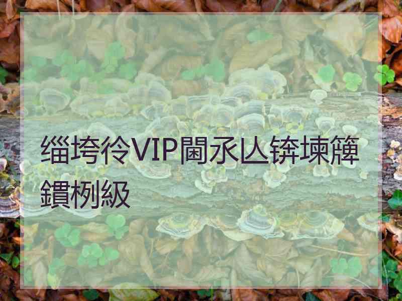 缁垮彾VIP閫氶亾锛堜簰鏆栵級