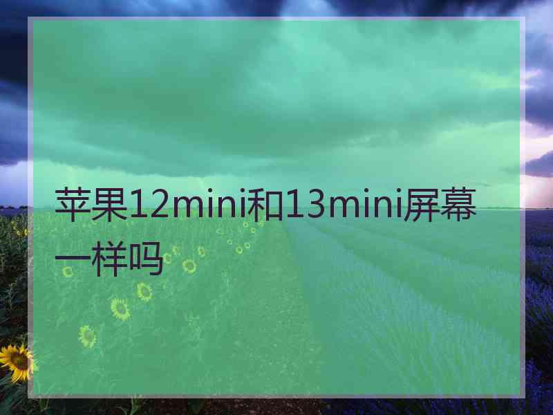 苹果12mini和13mini屏幕一样吗