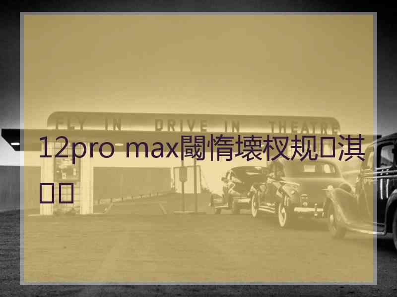 12pro max閾惰壊杈规淇