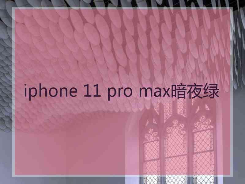 iphone 11 pro max暗夜绿