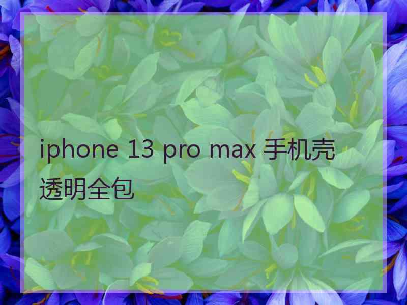 iphone 13 pro max 手机壳透明全包