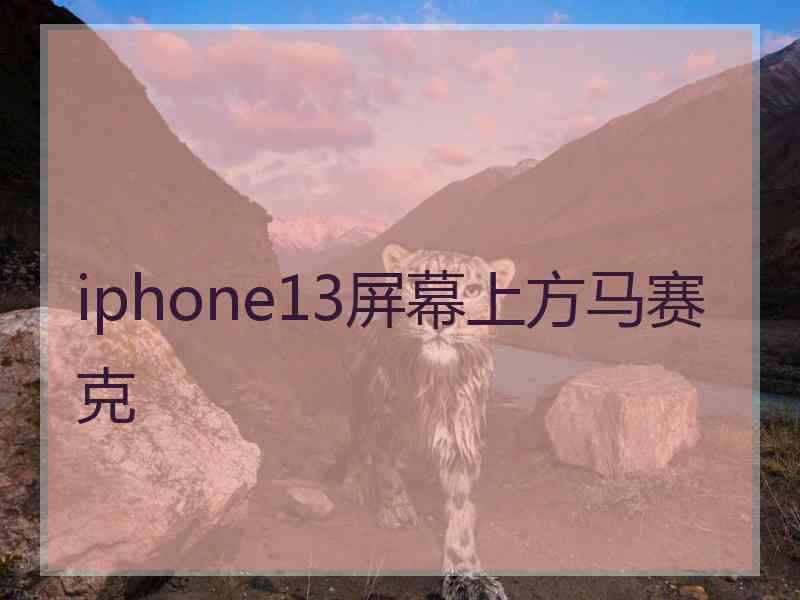 iphone13屏幕上方马赛克