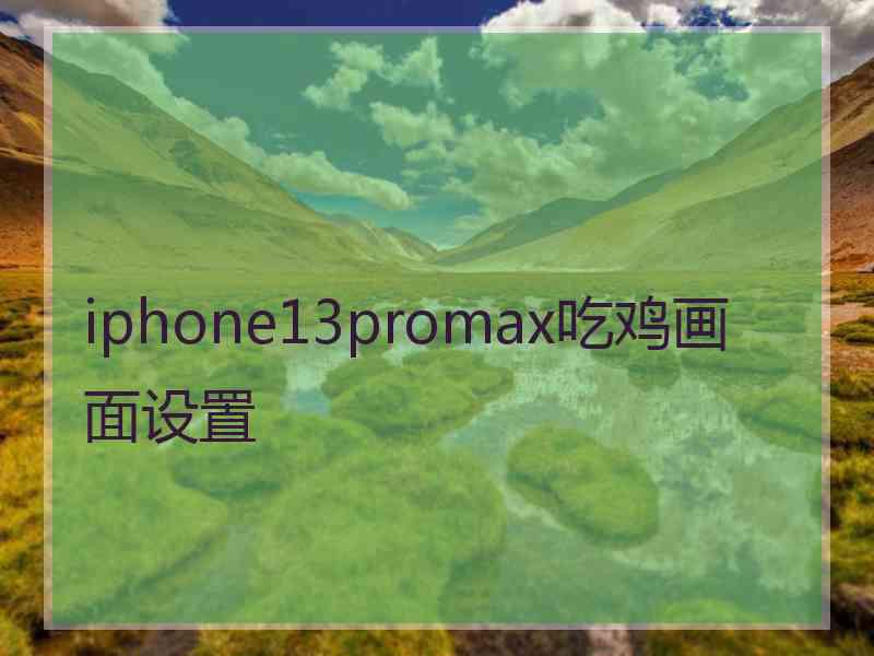 iphone13promax吃鸡画面设置