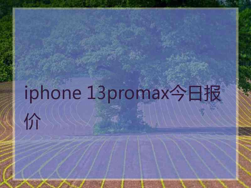 iphone 13promax今日报价