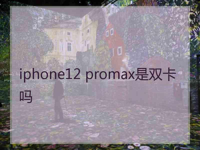 iphone12 promax是双卡吗