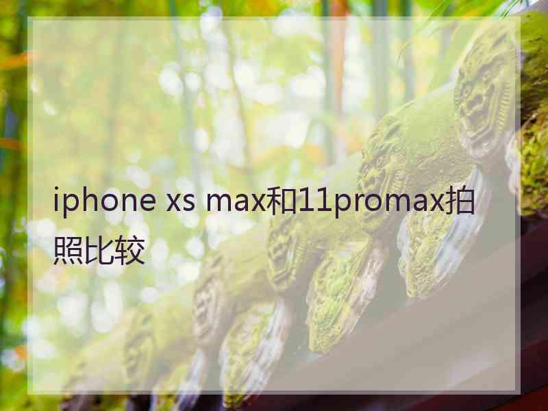 iphone xs max和11promax拍照比较