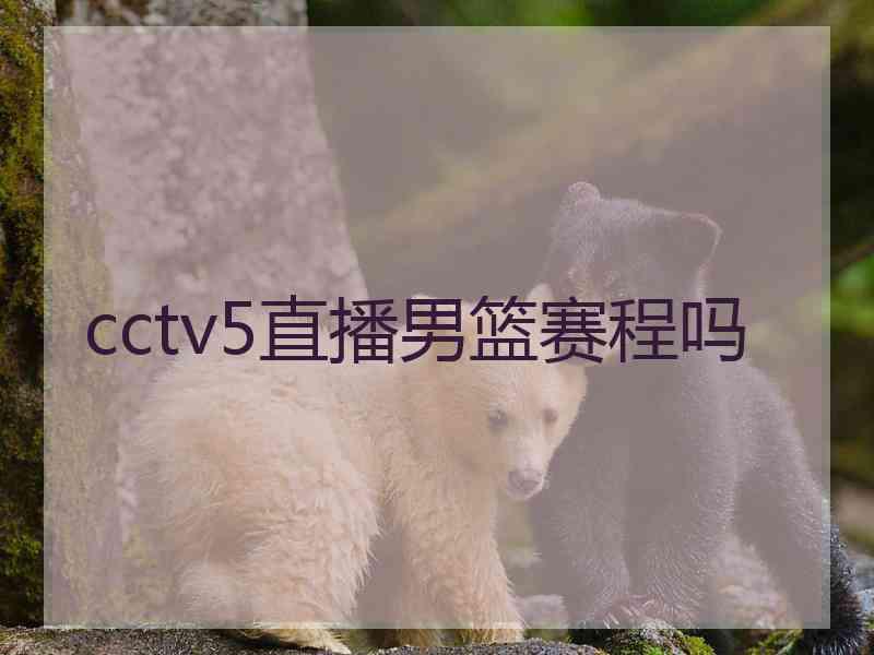 cctv5直播男篮赛程吗