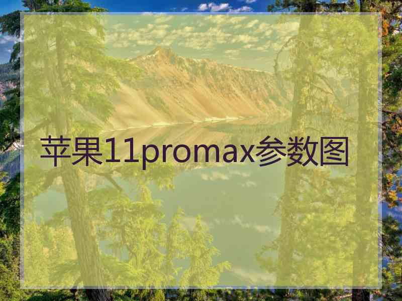 苹果11promax参数图