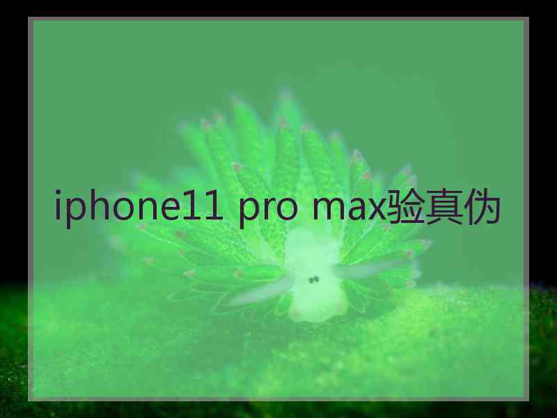 iphone11 pro max验真伪