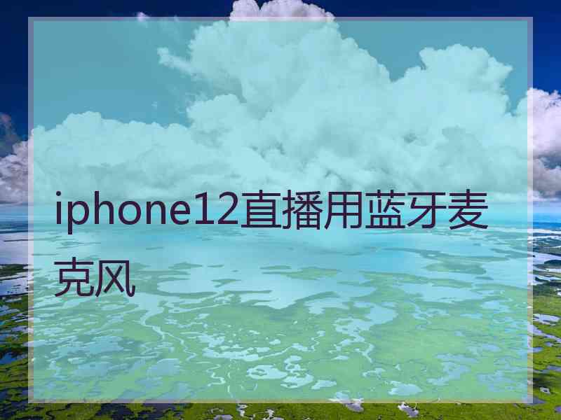 iphone12直播用蓝牙麦克风