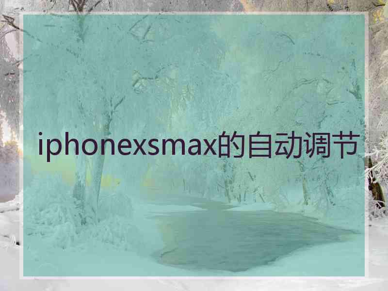 iphonexsmax的自动调节