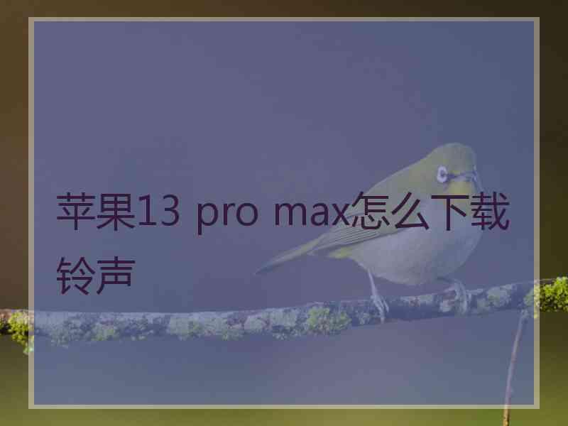 苹果13 pro max怎么下载铃声