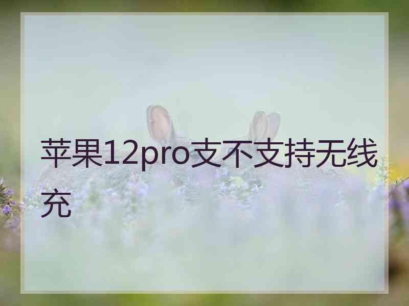 苹果12pro支不支持无线充