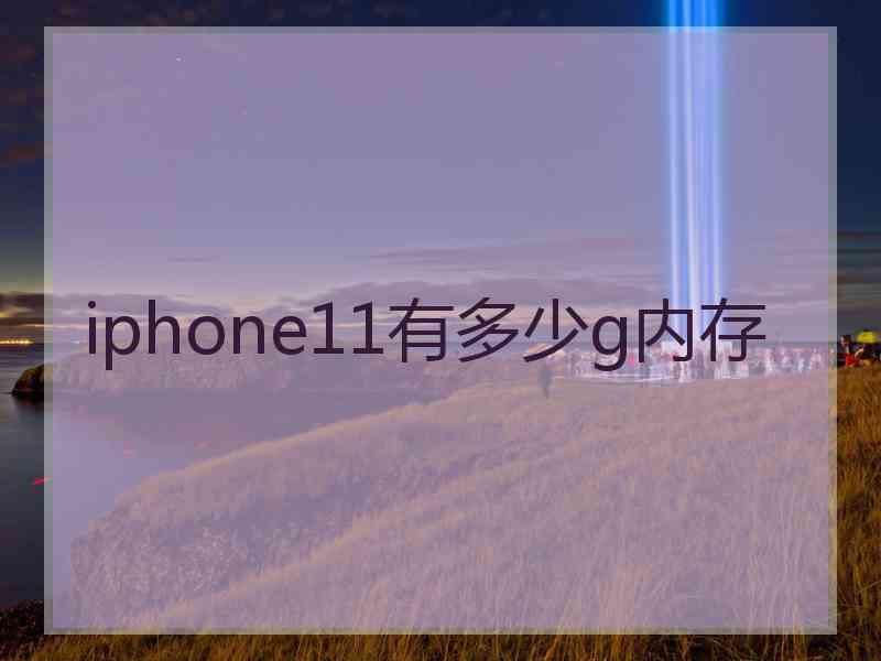 iphone11有多少g内存