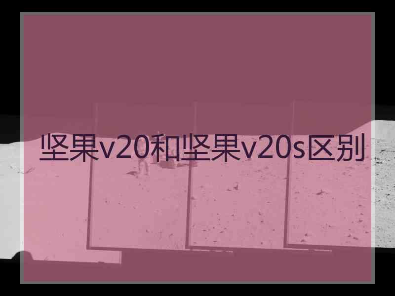 坚果v20和坚果v20s区别