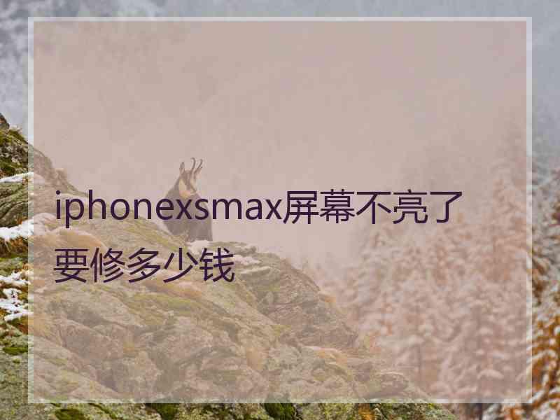 iphonexsmax屏幕不亮了要修多少钱