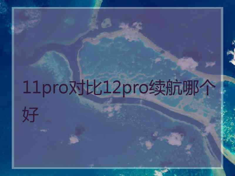 11pro对比12pro续航哪个好