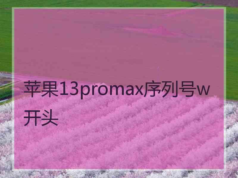 苹果13promax序列号w开头