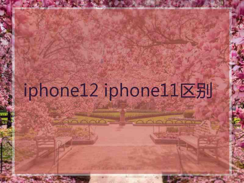 iphone12 iphone11区别