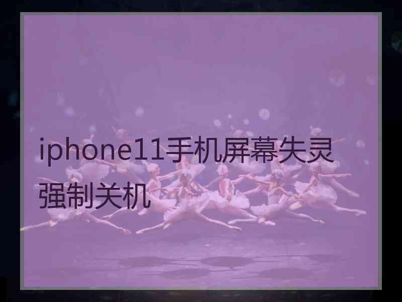 iphone11手机屏幕失灵强制关机